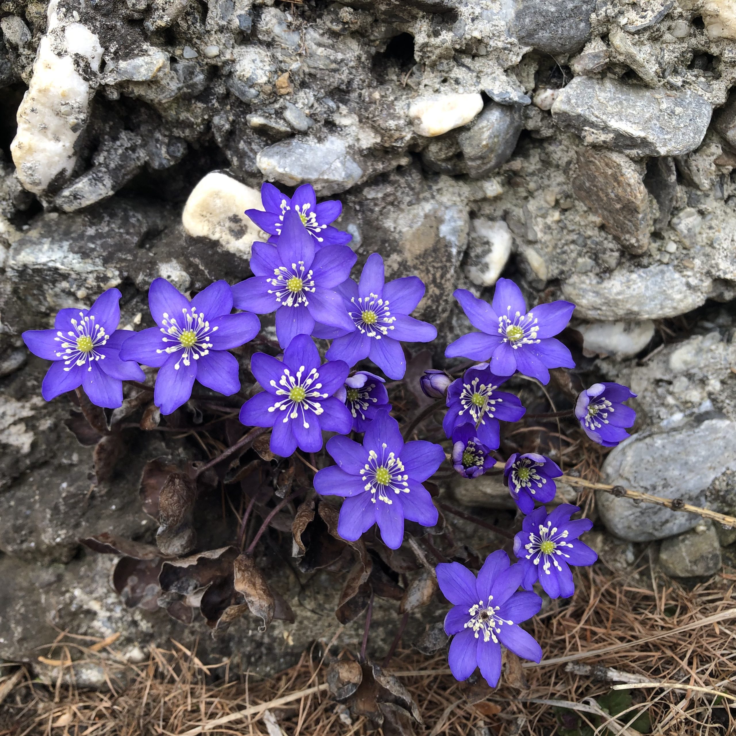 Portret Adrian D., inginer IT