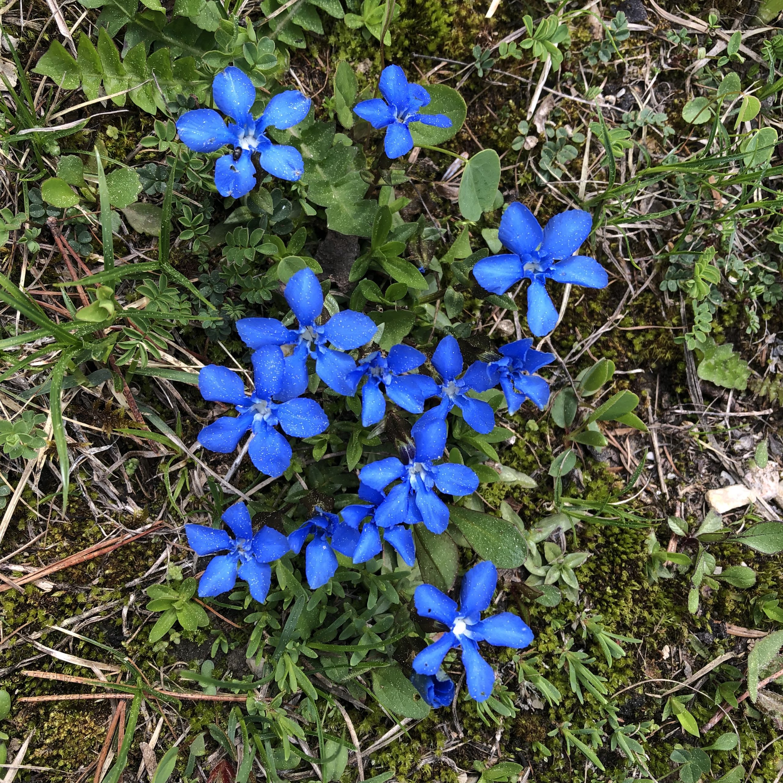 Portret Cristian A., medic