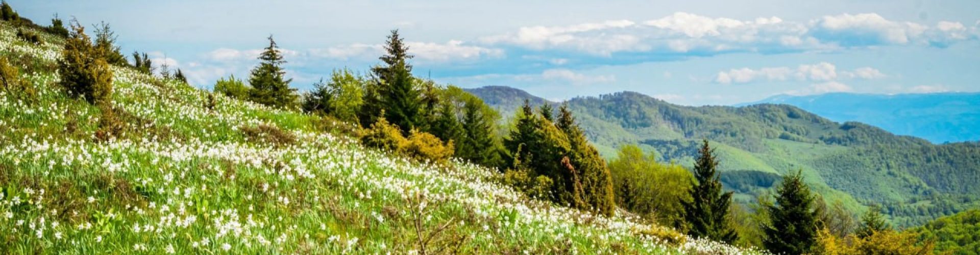 photo_2025-12-01_19-59-24