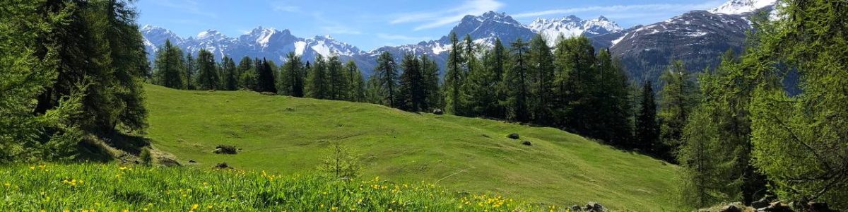 photo_21_2025-12-01_21-09-53